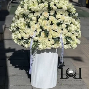 باکس گل رز سفید ۱۵۰ شاخه BL164 شامل ۱۵۰ شاخه رز هلندی سفید و اوکالیپتوس – ابعاد ارتفاع ۱۵۰ عرض ۹۰ سانتی‌متر – گل فروشی لونا فلاور کرج