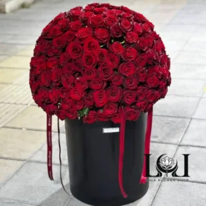 باکس گل رز قرمز ۲۵۰ شاخه BL163 شامل ۲۵۰ شاخه رز هلندی قرمز – ابعاد ارتفاع ۱۰۰ عرض ۸۰ سانتی‌متر – گل فروشی لونا فلاور کرج