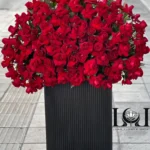 باکس گل رز قرمز BL104 شامل ۱۰۰ شاخه رز قرمز – ابعاد ارتفاع ۱۵۰ عرض ۹۰ سانتی‌متر – گل فروشی لونا فلاور کرج