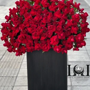 باکس گل رز قرمز BL104 شامل ۱۰۰ شاخه رز قرمز – ابعاد ارتفاع ۱۵۰ عرض ۹۰ سانتی‌متر – گل فروشی لونا فلاور کرج