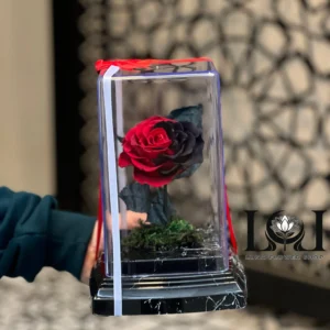 رز جاودان ML101 – گل رز طبیعی تثبیت شده با ۷ سال ماندگاری – ابعاد ارتفاع ۳۰ عرض ۱۷ سانتی‌متر – گل فروشی لونا فلاور کرج