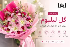 تصویر معرفی گل لیلیوم