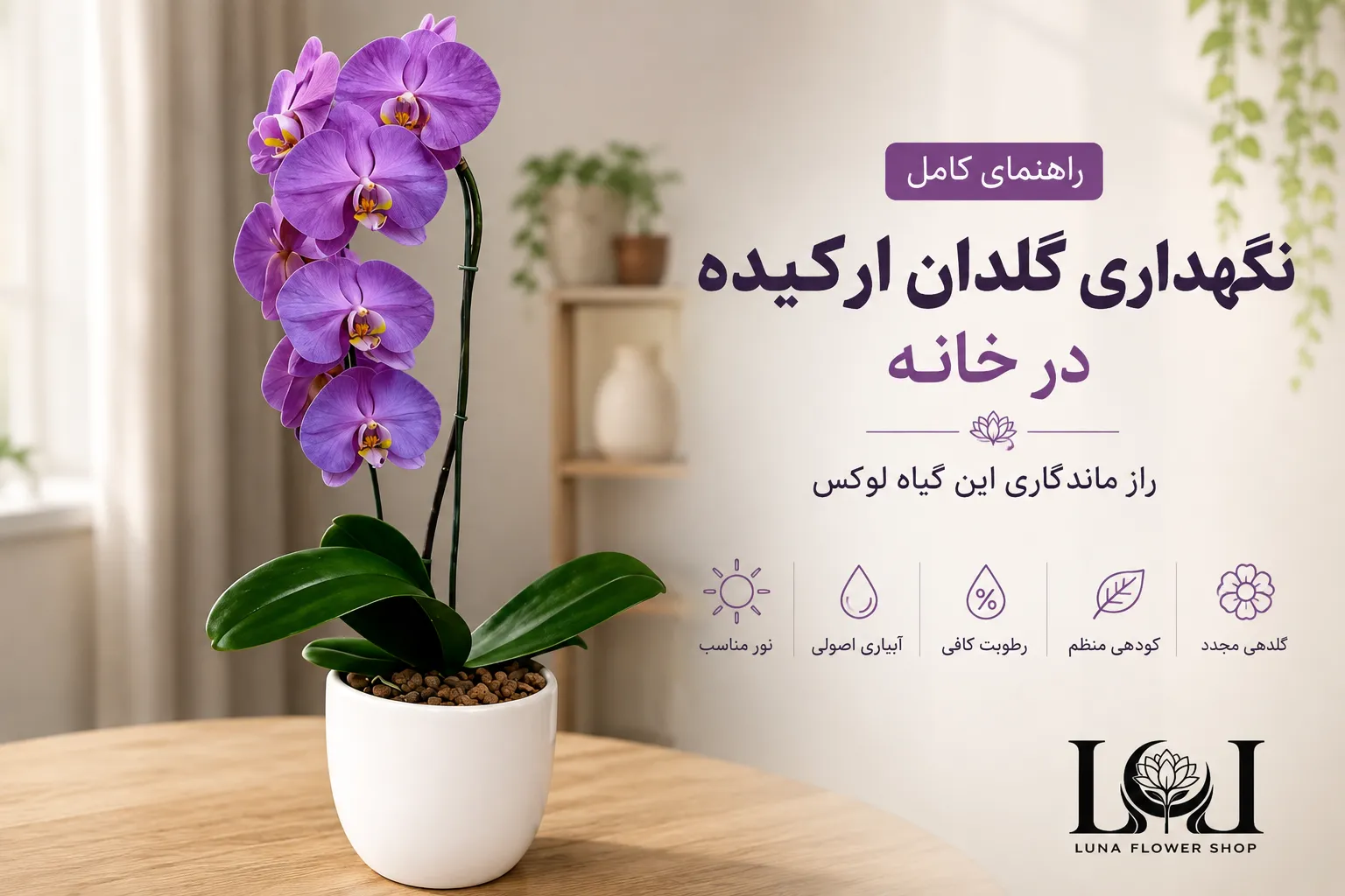 گلدان ارکیده صورتی لوکس مناسب دکوراسیون منزل و محل کار گلفروشی لونا فلاور کرج