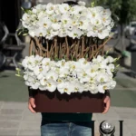 باکس گل طبیعی ارکیده BL213 با ارکیده، لیسینتوس و بابونه - گل فروشی لاکچری لونا فلاور کرج